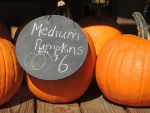 LRRTC Fall Jubilee pumpkins